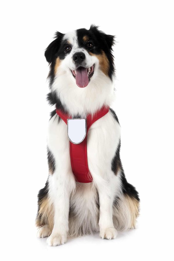 What Are the Best Strategies for Customizing Your Vehicle's Interior Lighting for Ambiance and Visibility?